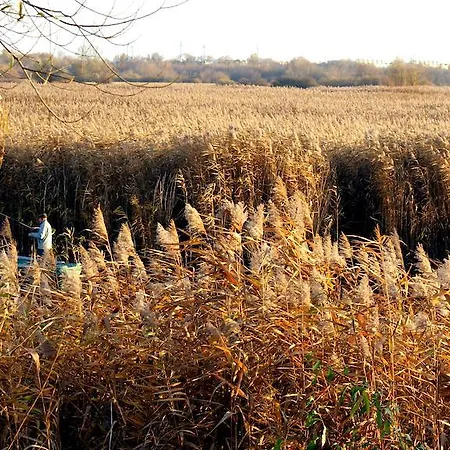 Accommodatie bij particulieren Modlin Airport Nowy Dwór Mazowiecki