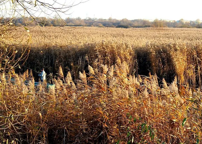 Homestay Modlin Airport Nowy Dwor Mazowiecki
